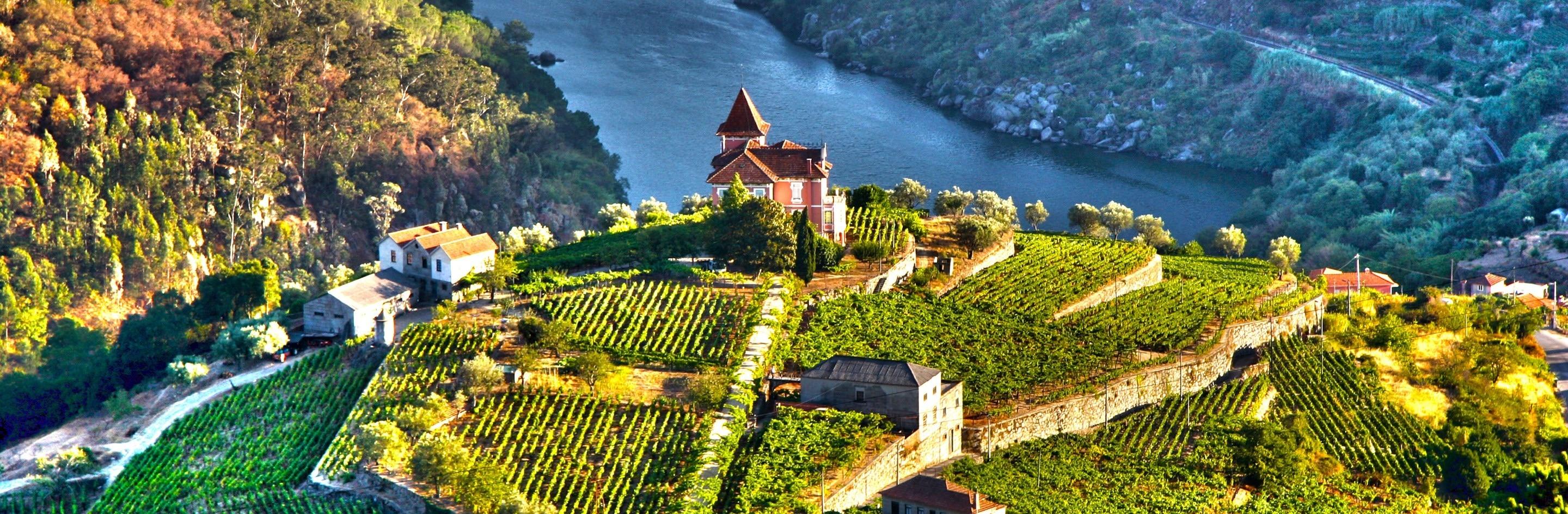 Enticing Douro River Wine Cruise - November 11-18, 2025 - background banner